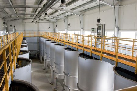 Realizacje FIBROMAT: Elementy konstrukcyjne z TWS